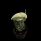 Scindapsus Mayari